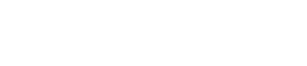 Leeson & Leeson Logo